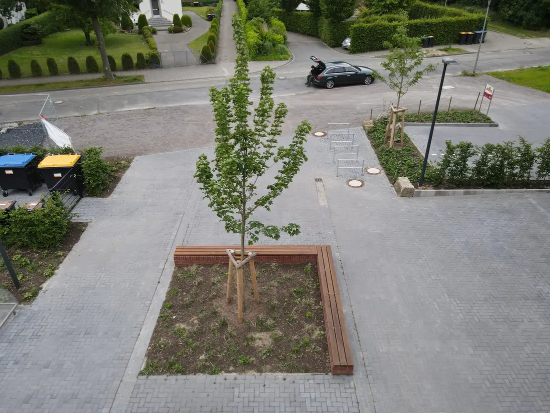 Gepflasterter Vorplatz mit eingefassten Baumbeeten und jungen Bäumen