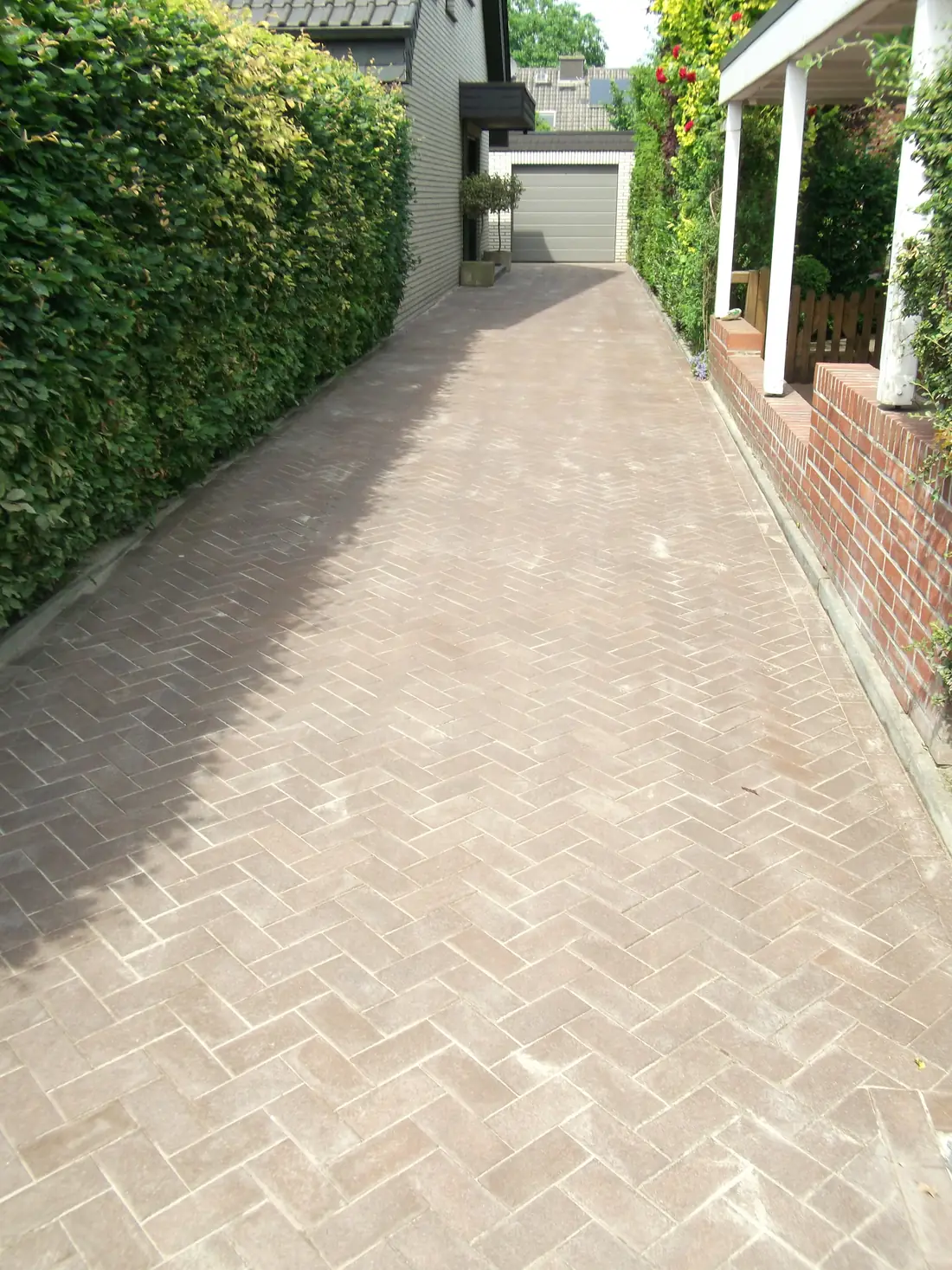 Schmaler Weg aus Klinkerpflaster im Fischgrätverband entlang einer Hecke